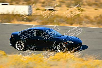 media/Nov-16-2024-Extreme Speed (Sat) [[6587d07cc4]]/Orange Group/Session 3 (The Bowl)/
